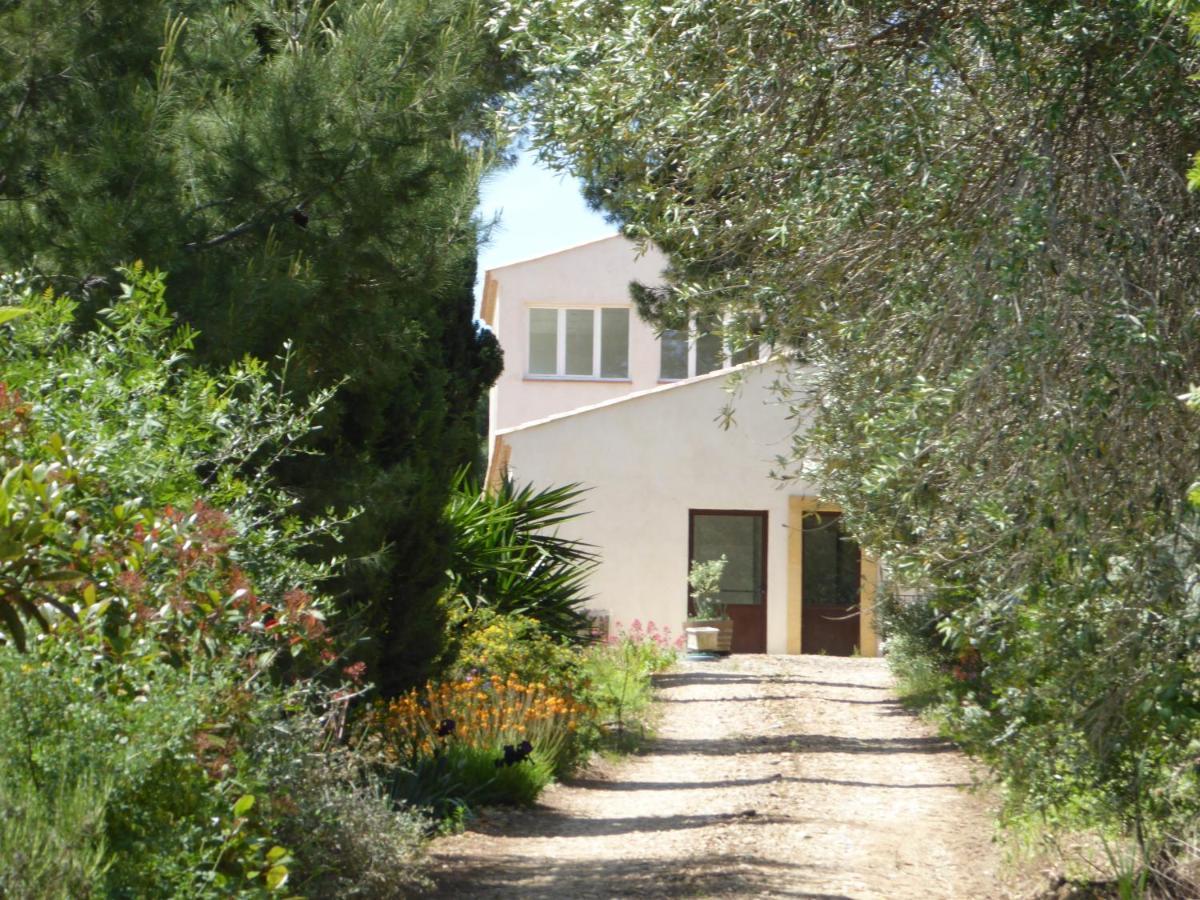 Domaine De L'Herbe Sainte Mirepeisset Екстериор снимка
