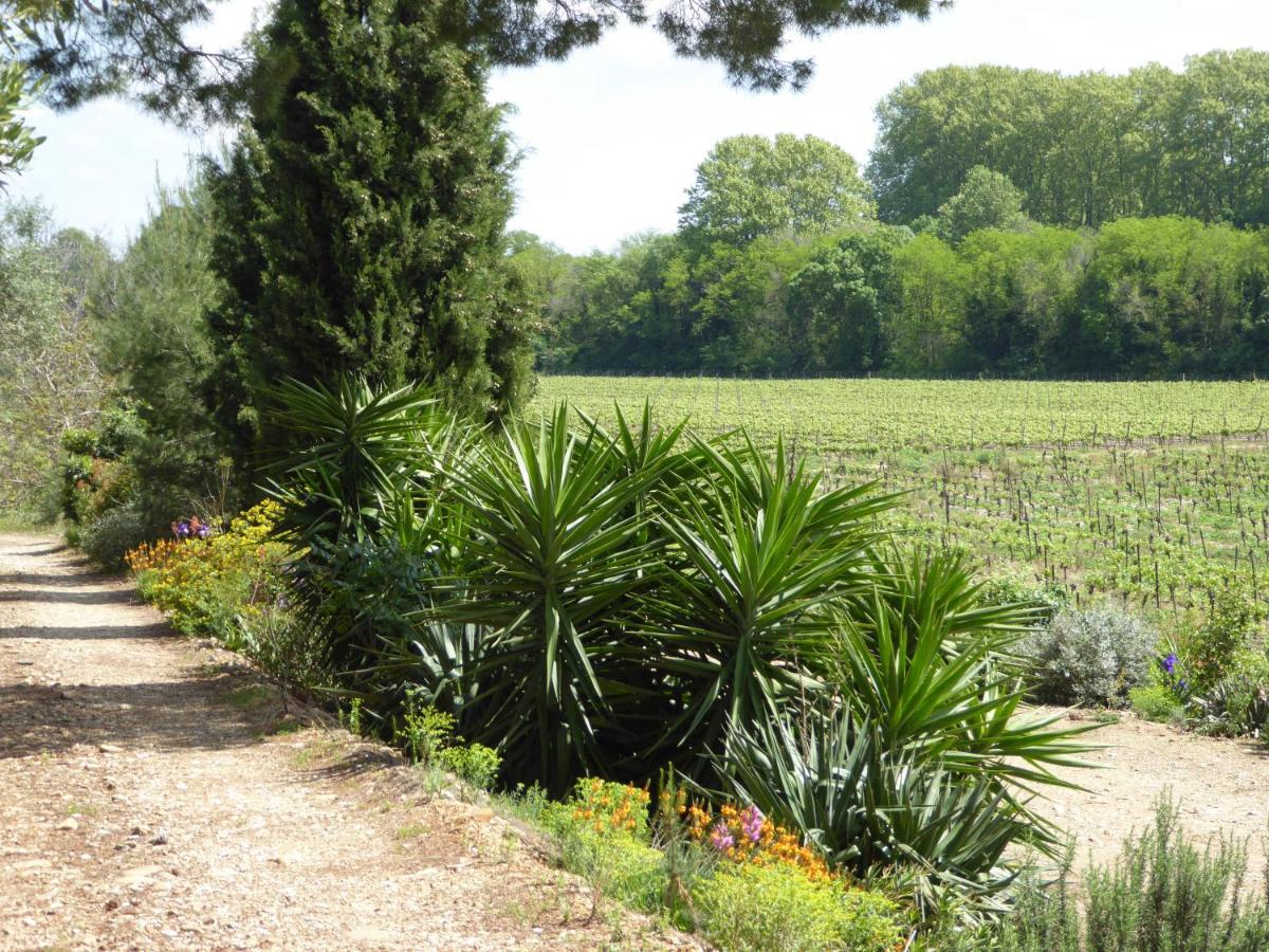 Domaine De L'Herbe Sainte Mirepeisset Екстериор снимка