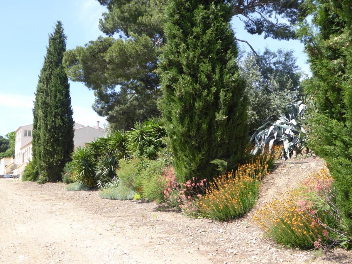 Domaine De L'Herbe Sainte Mirepeisset Екстериор снимка