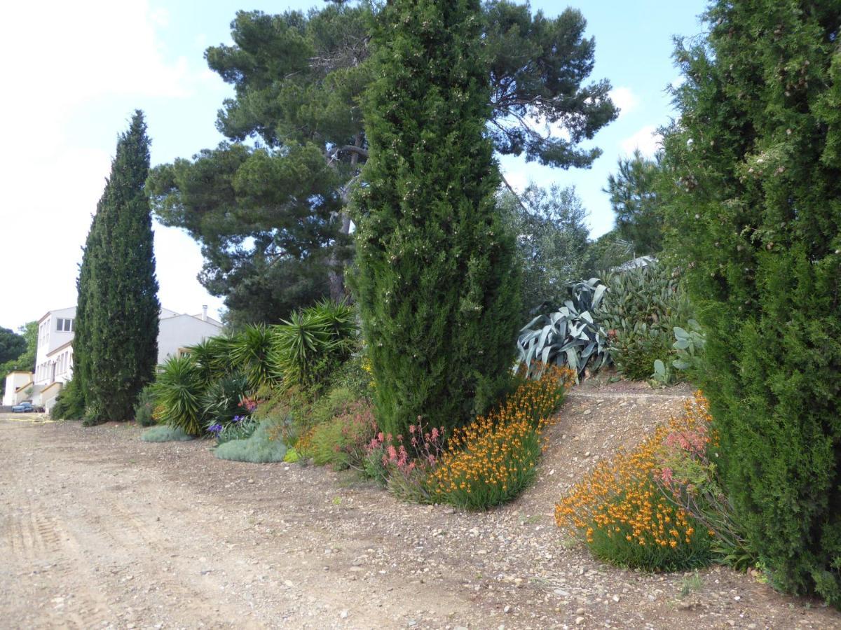 Domaine De L'Herbe Sainte Mirepeisset Екстериор снимка