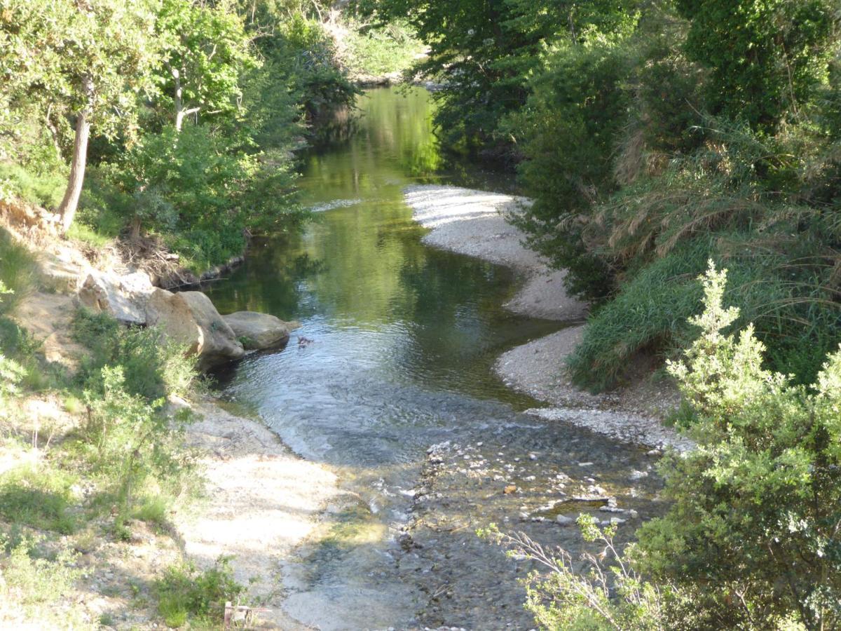 Domaine De L'Herbe Sainte Mirepeisset Екстериор снимка