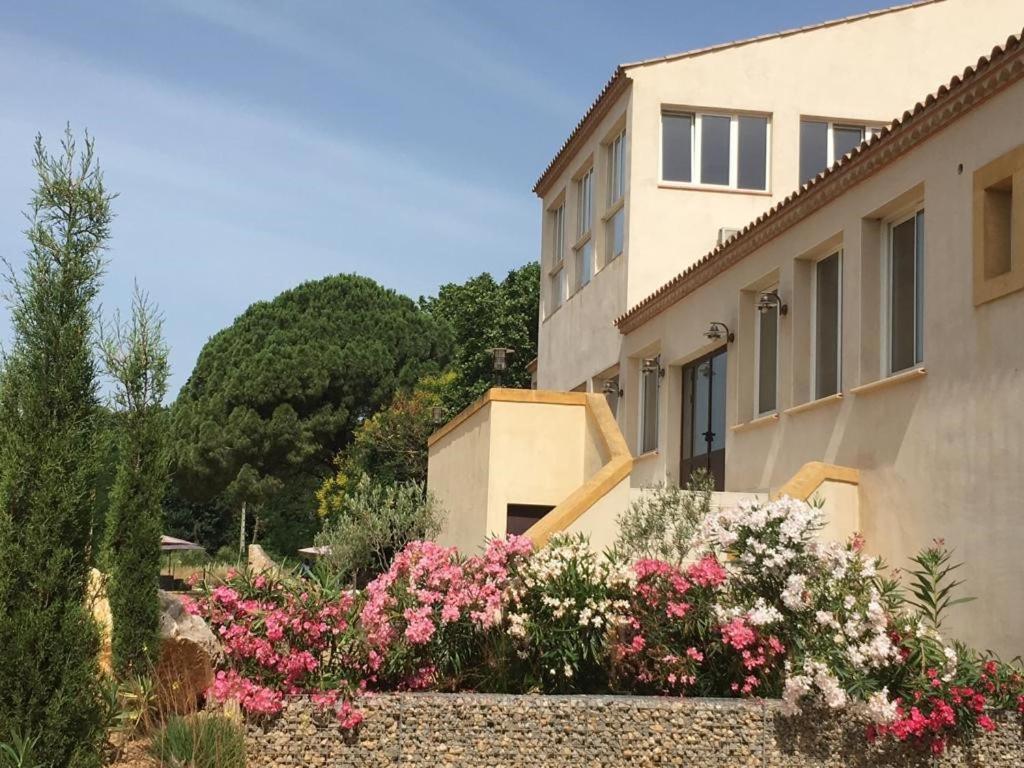 Domaine De L'Herbe Sainte Mirepeisset Екстериор снимка