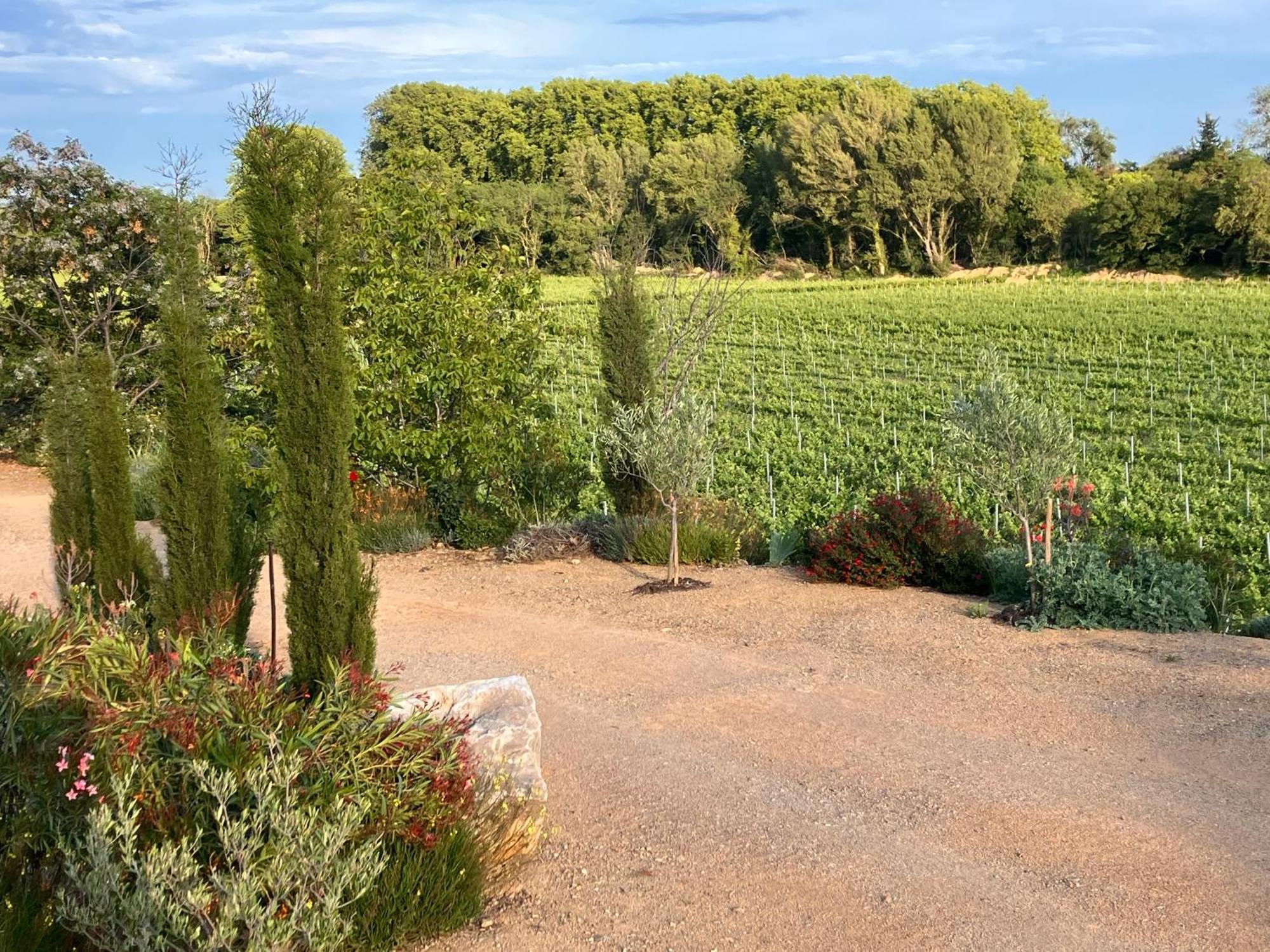 Domaine De L'Herbe Sainte Mirepeisset Екстериор снимка