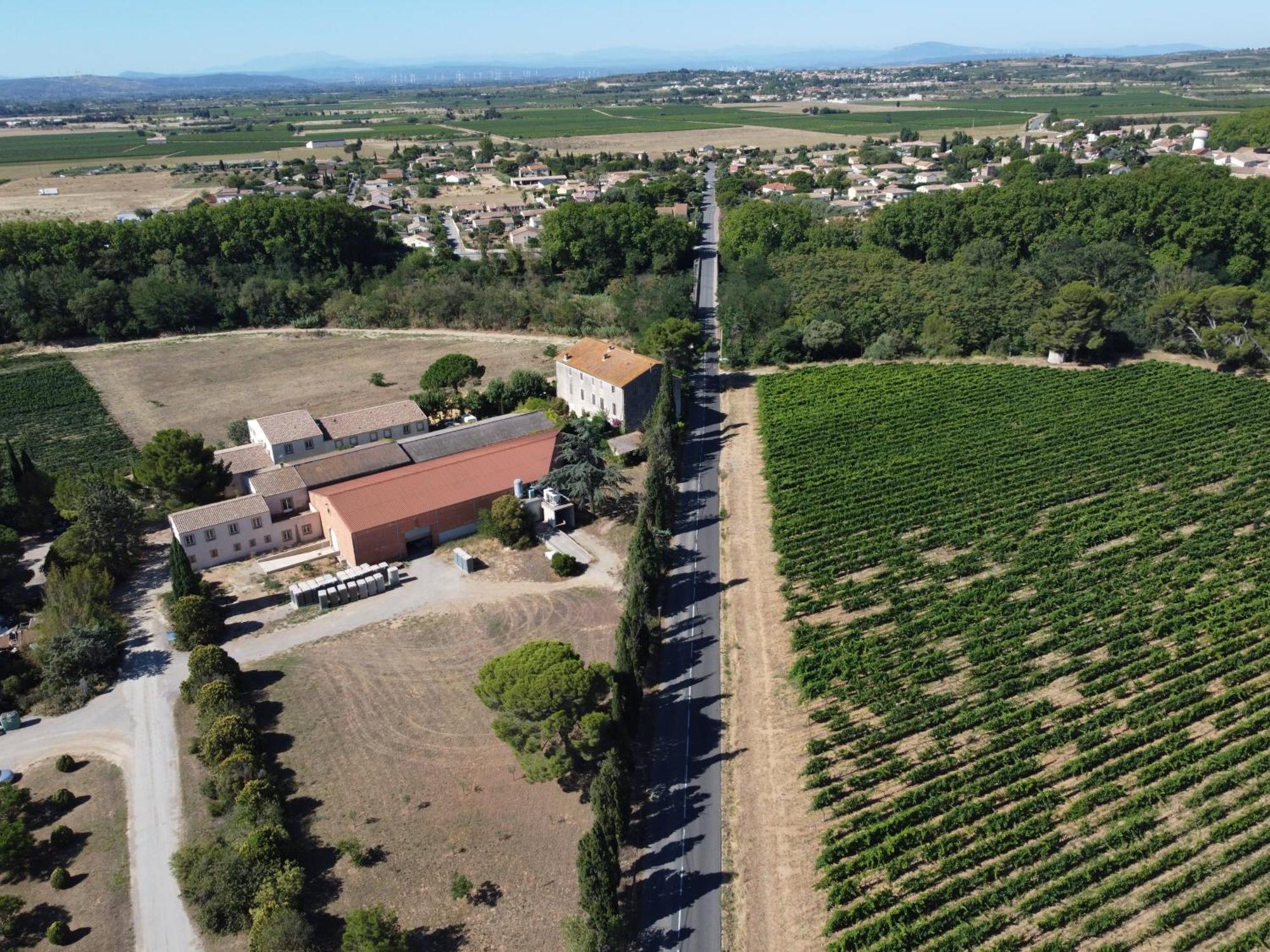 Domaine De L'Herbe Sainte Mirepeisset Екстериор снимка
