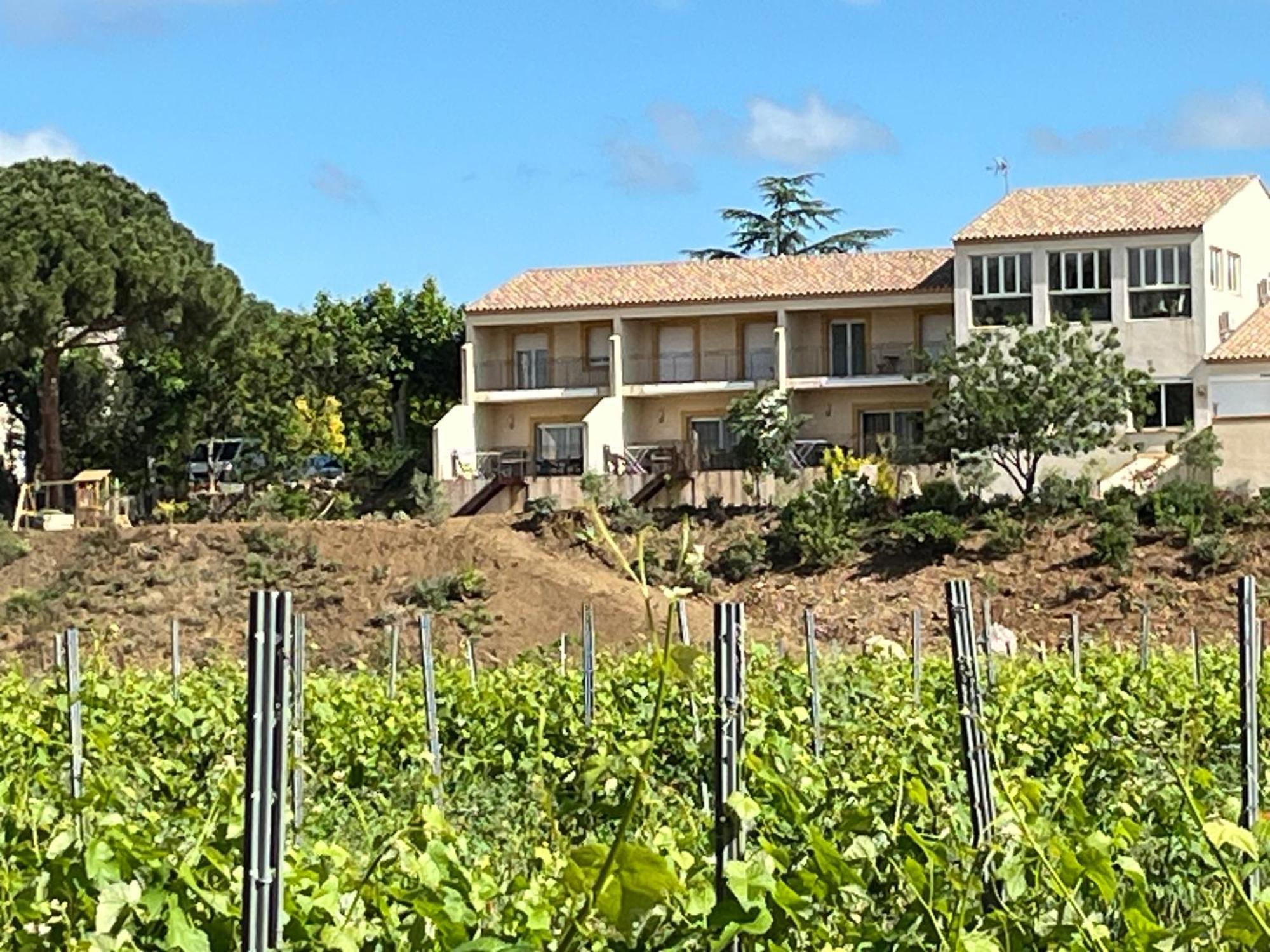 Domaine De L'Herbe Sainte Mirepeisset Екстериор снимка
