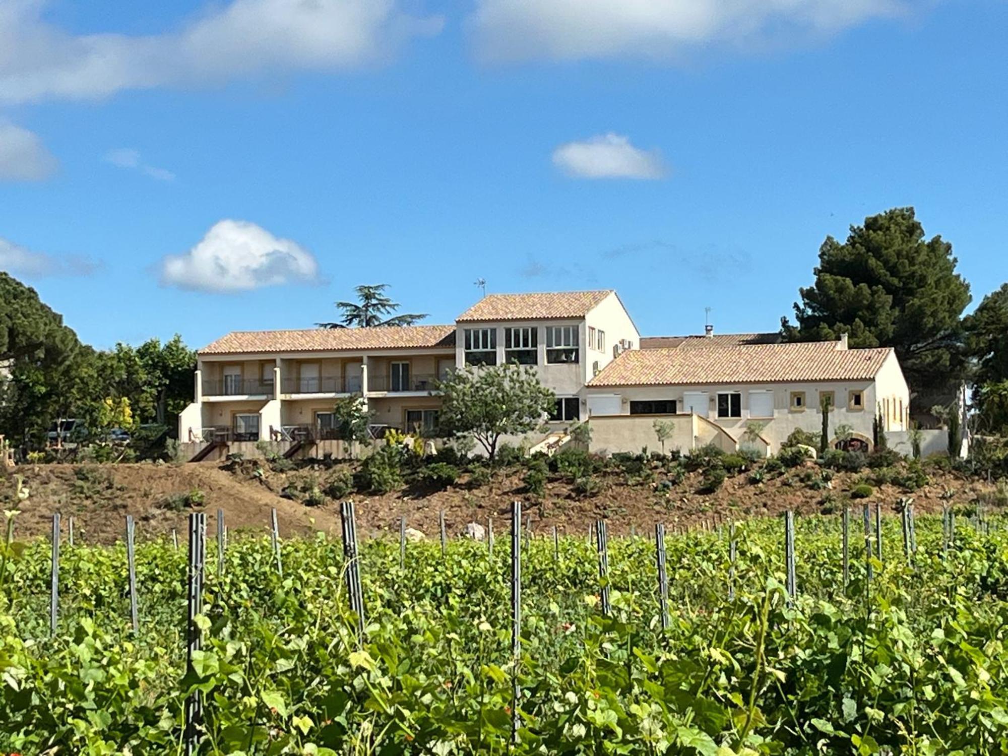 Domaine De L'Herbe Sainte Mirepeisset Екстериор снимка